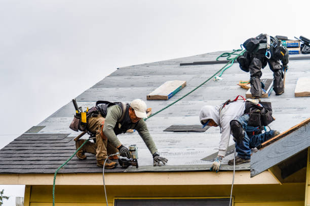 Professional Gutter Installation technician working in Lebanon, GA